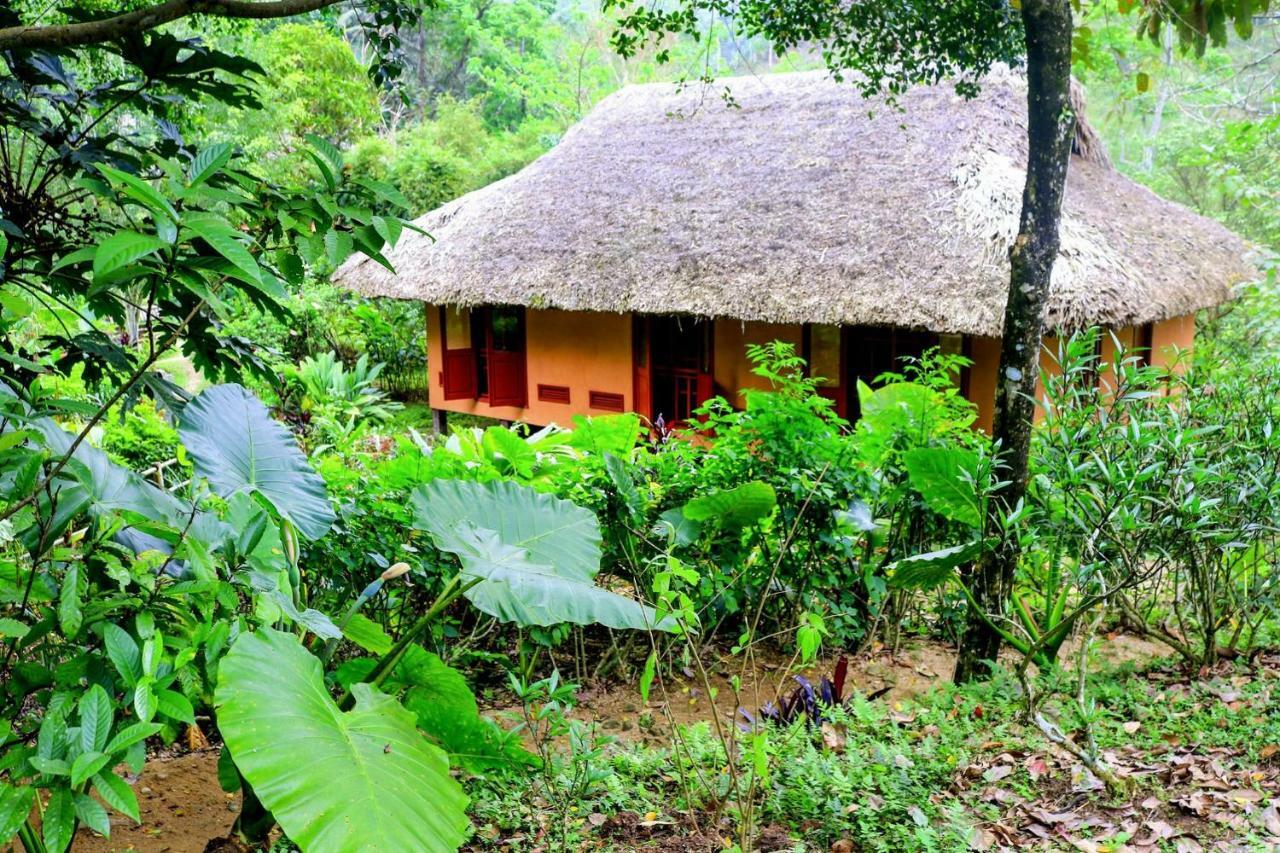 Panhou Retreat Hotel Ha Giang Exterior photo